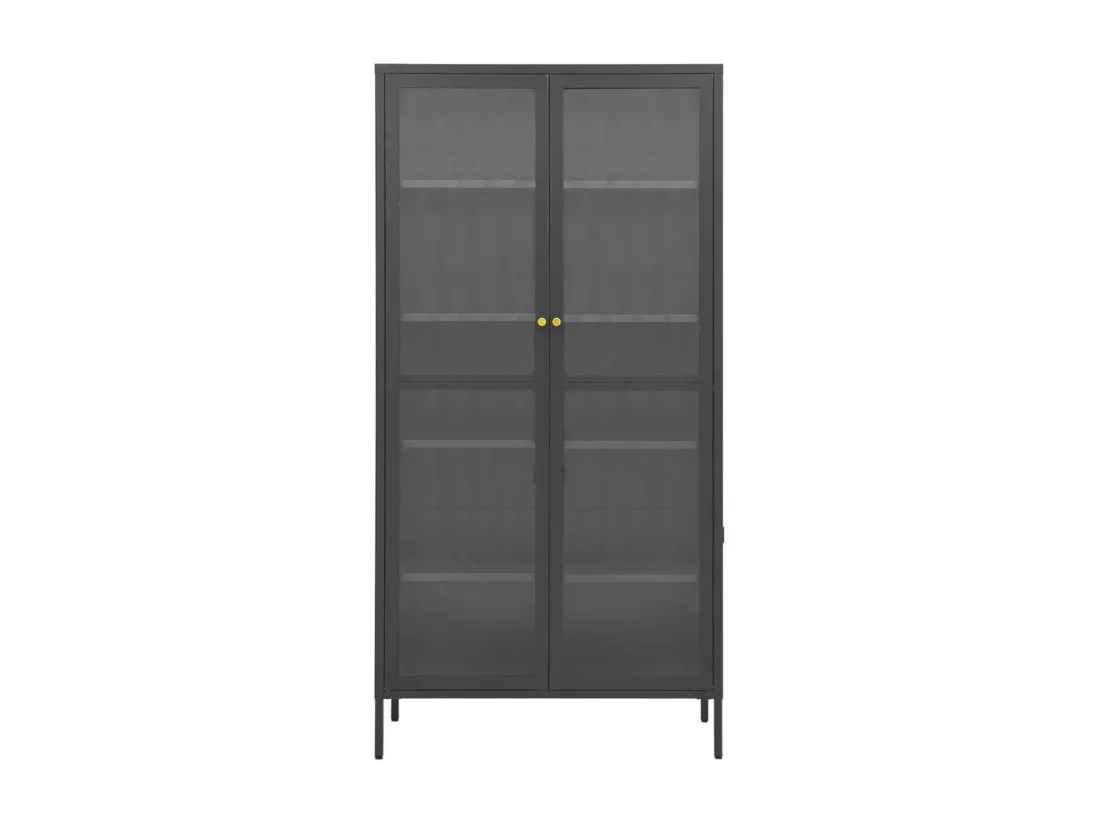 Vitrine d'exposition Anthracite 90x40x180 cm Acier/verre trempé