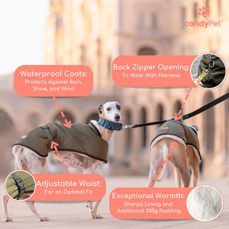 Casaco impermeável para galgos: elegante e proteção contra o frio e a chuva - forro de lã, isolamento térmico, abertura para coleira - ideal para galgos, podencos e outros cães de caça - cáqui, tamanho G