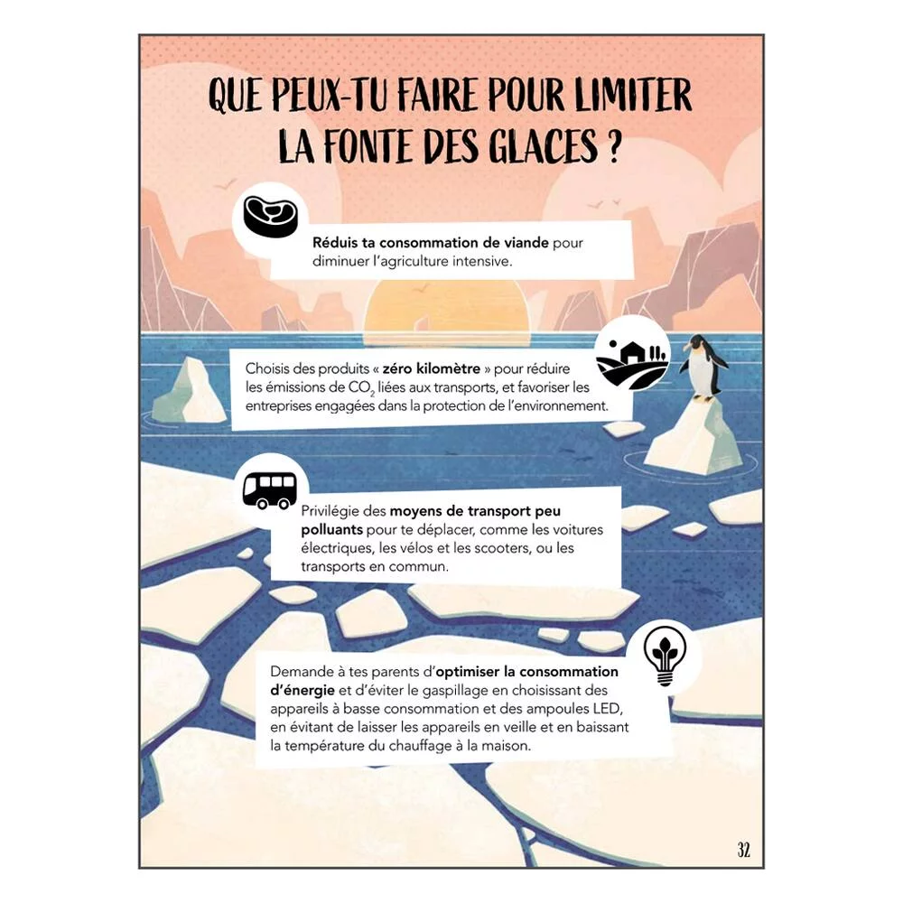 PUZZLE LA PLANETE EN DANGER 220 PIECES + LIVRE - LES GLACES