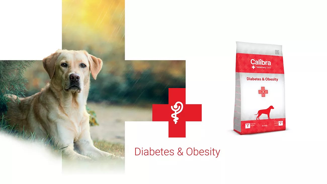 Calibra Dog Veterinary Diets Diabetes/Obesity 2 kg