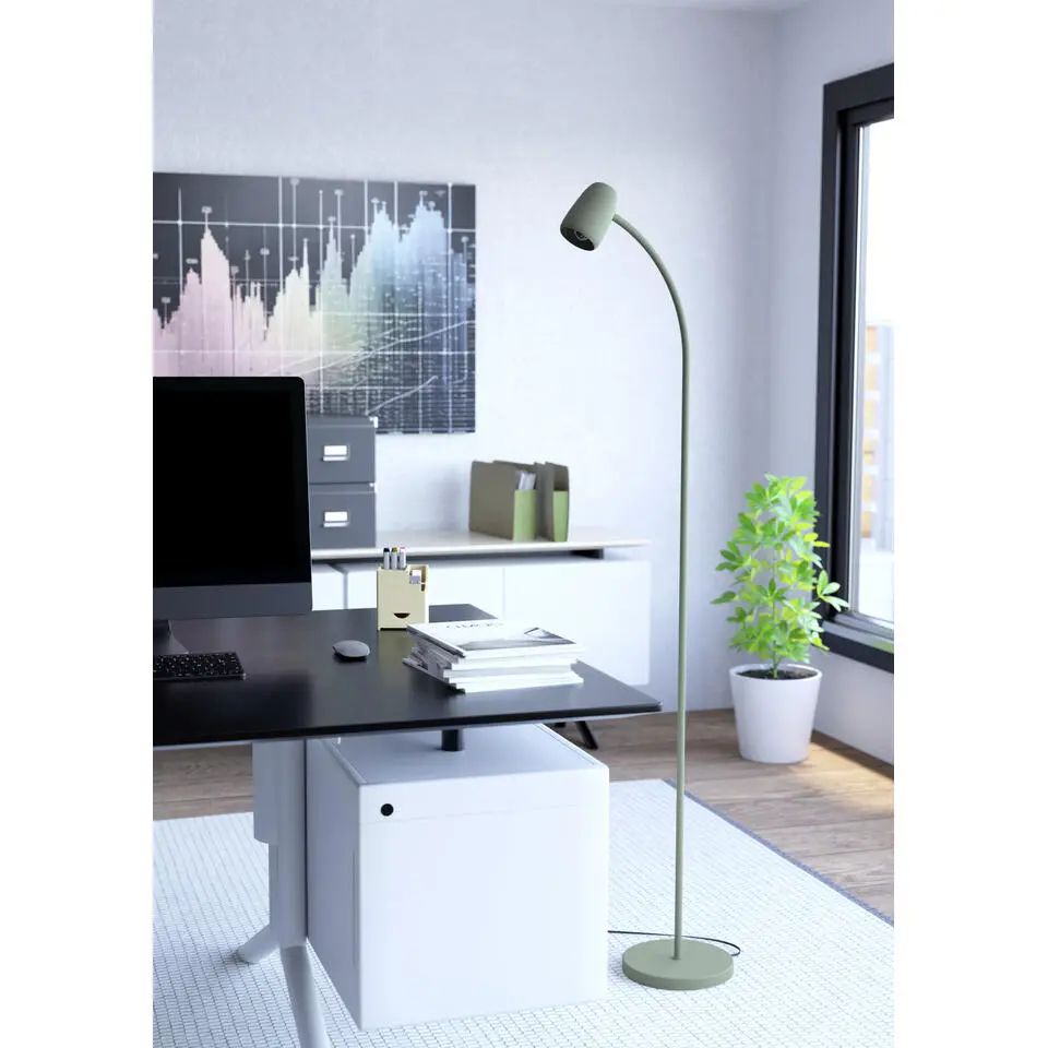 EGLO Carlo Vloerlamp - E14 - 170 cm - Groen - Kantelbaar