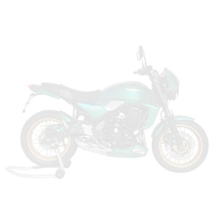 Ecope de radiateur Ermax KAWASAKI Z650RS - Noir / Gris