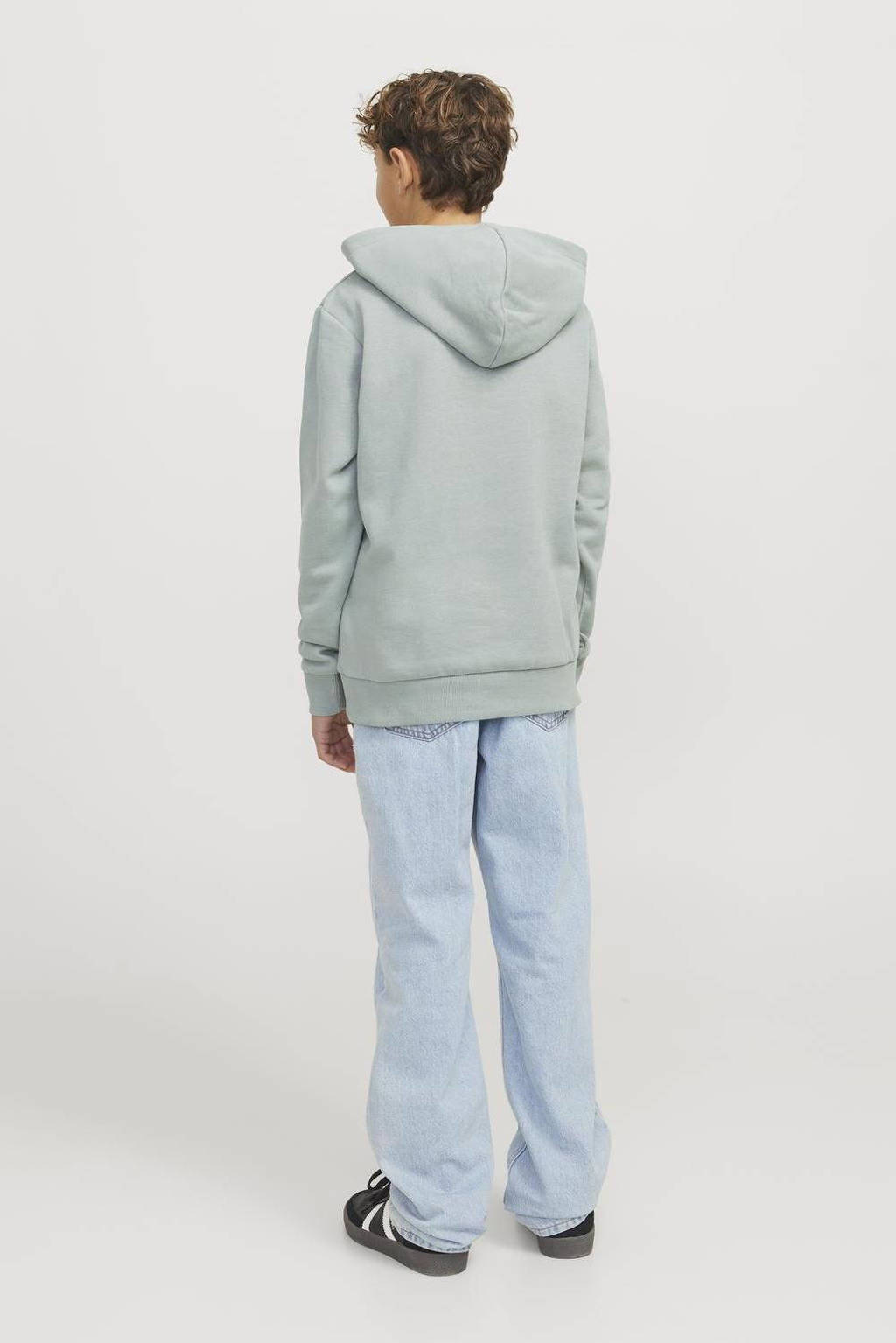 JACK & JONES hoodie JJECALEB VARSITY met logo zachtgroen