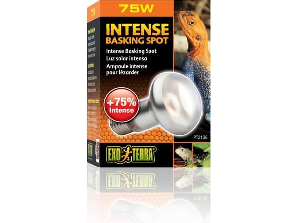Hagen EXOTERRA INTENSE SPOT Pære 75W