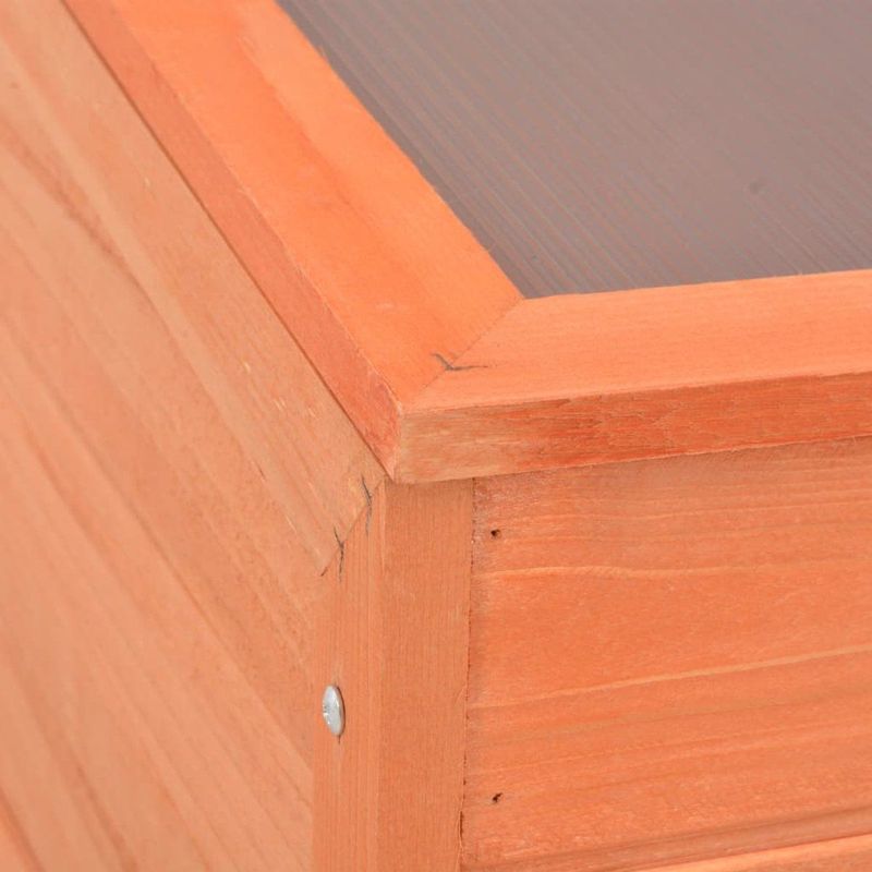 Tuinkas - Hout - Polycarbonaat - Geschikt voor Hobbytuinieren