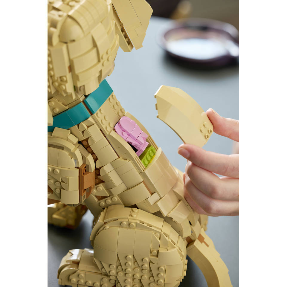 LEGO Icons golden retriever puppy 11384