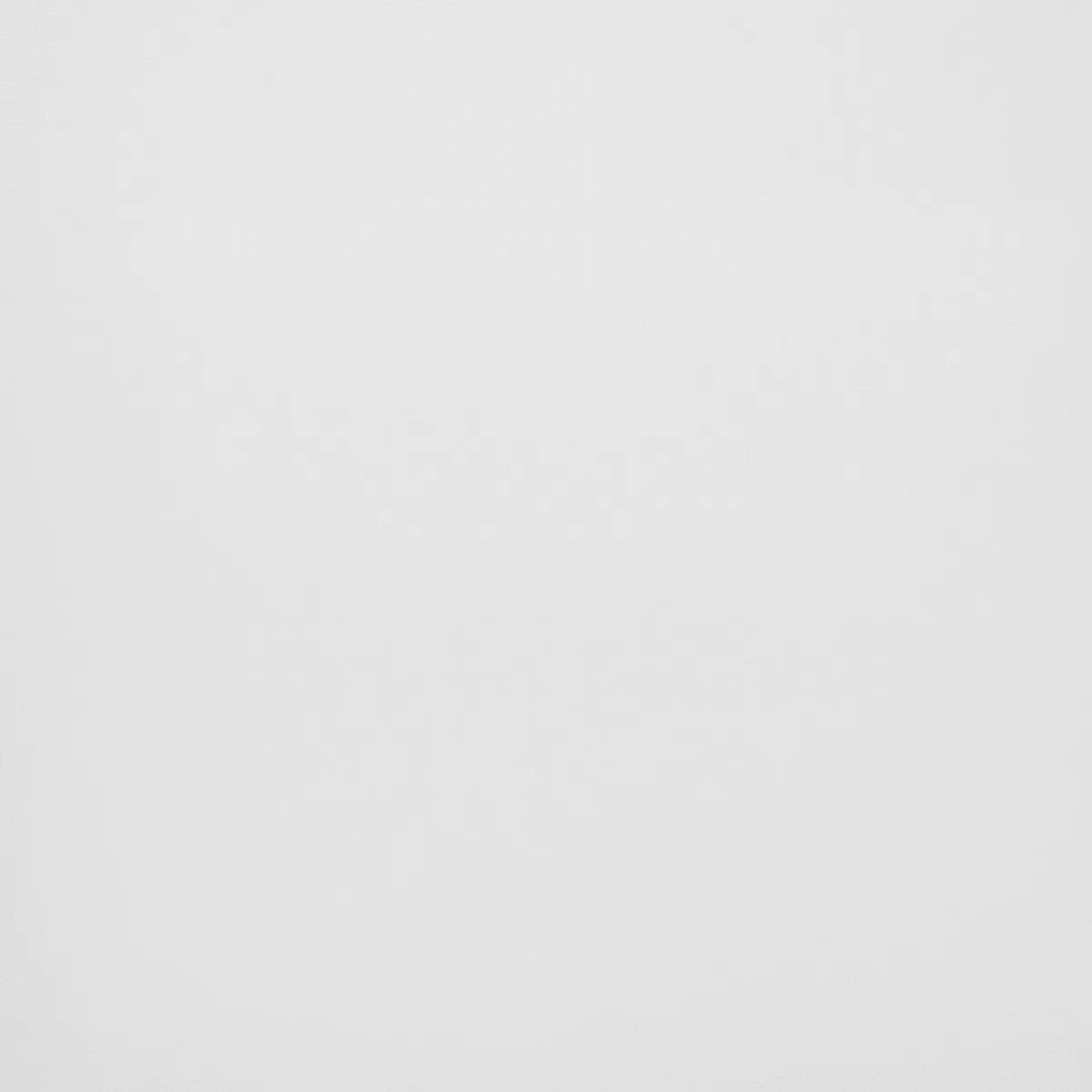 Tagvorhang Voile weiss