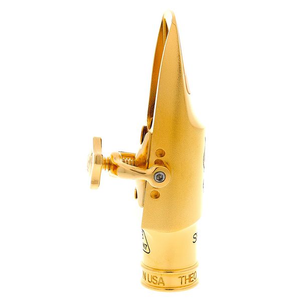 Theo Wanne Shiva IV Alto 8 Gold