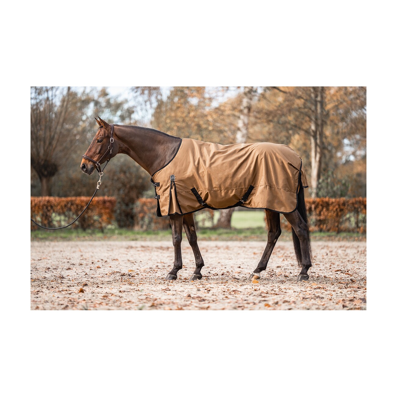 Equinate wasserdichte Regendecke Springfield mit Fleeceinnenfutter braun 1,45 m