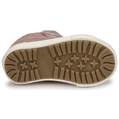 Kangaroos - KAVU III - Rose