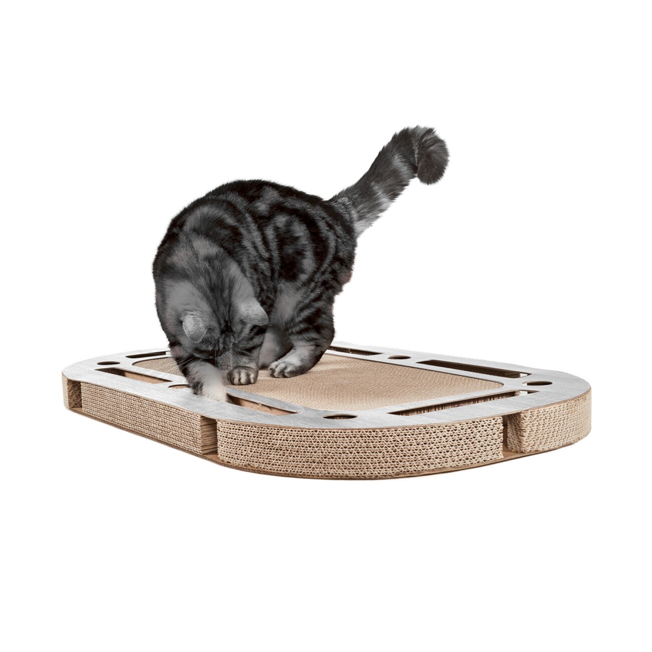 Canadian Cat Company Katzenspielplatz PlayPlate weiß