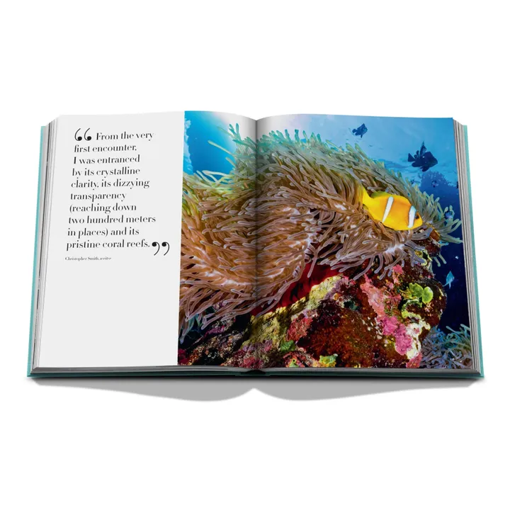 Assouline Red Sea : Arabie Saoudite