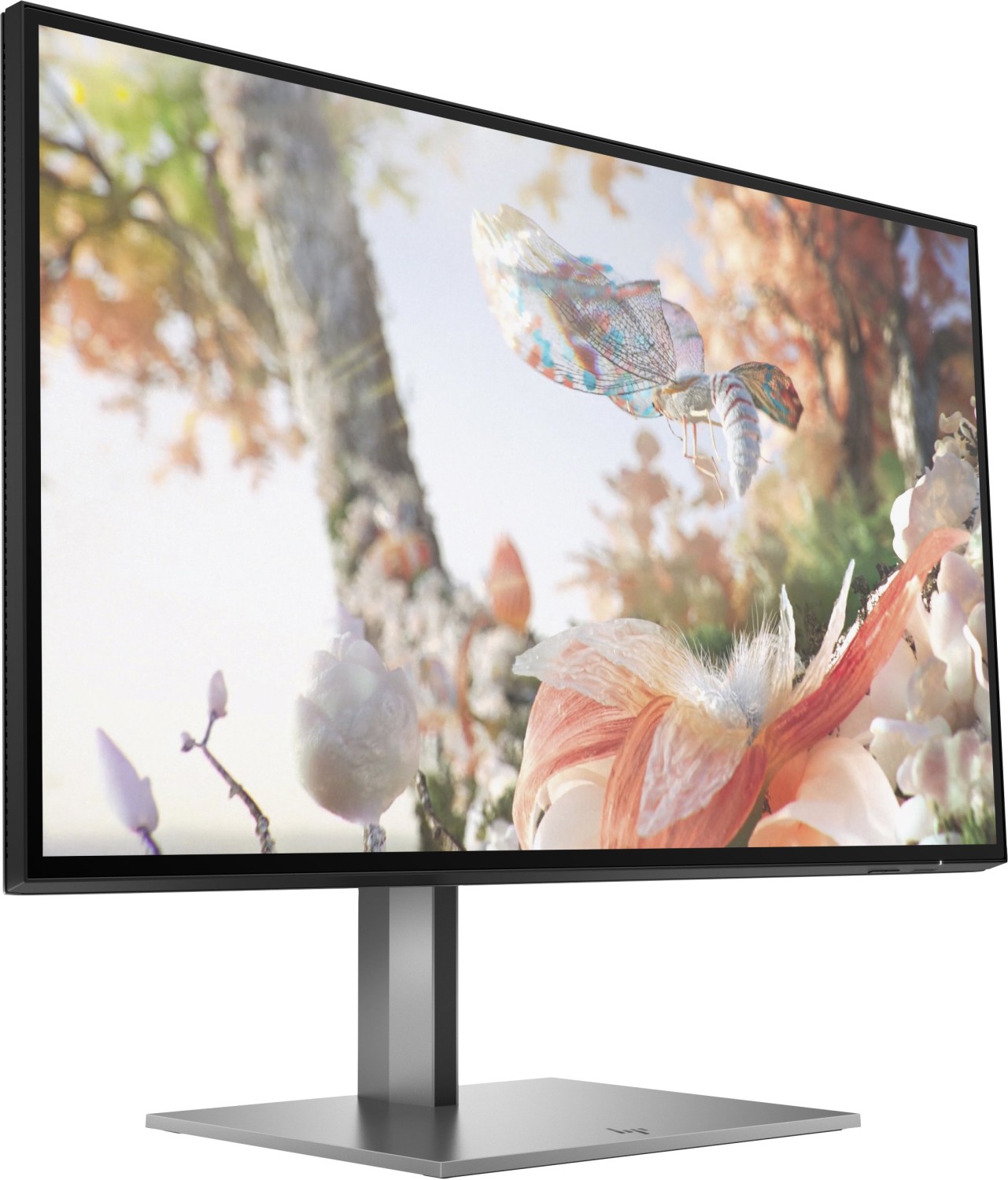 HP Z25xs G3 | 25