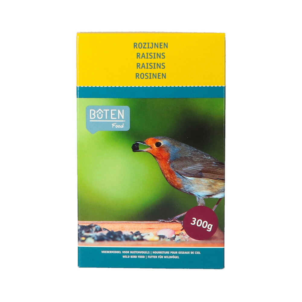 Bûten Food Rozijnen in Doosje 300 gr