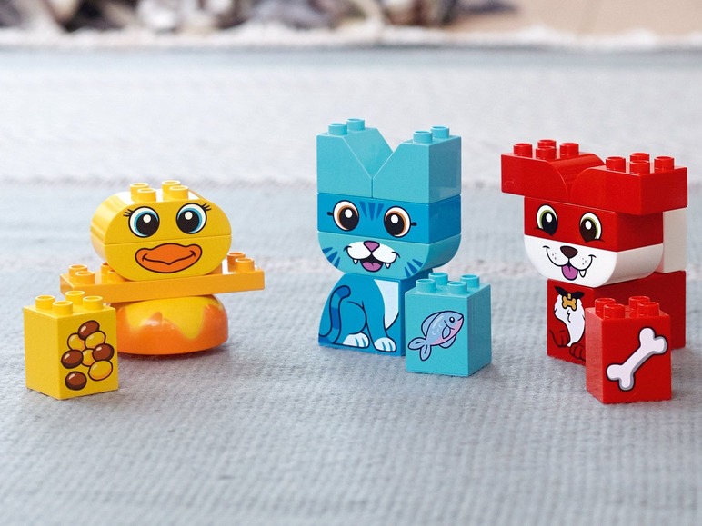 Speelset dierenkleuren
