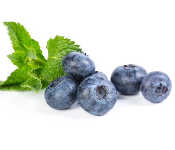 Heidelbeer-Set Blaubeer-Liebe, 4-teilig