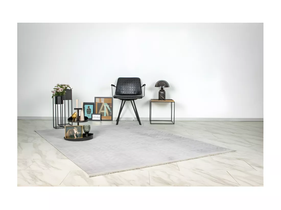 Tapis 280x200cm, design D012A coloris gris - Confort et élégance pour votre intérieur