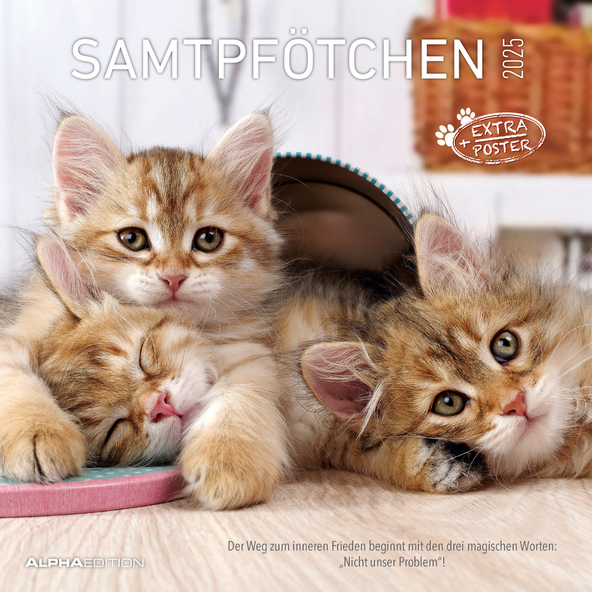 Broschürenkalender 2025 - Samtpfötchen - 30x30 cm