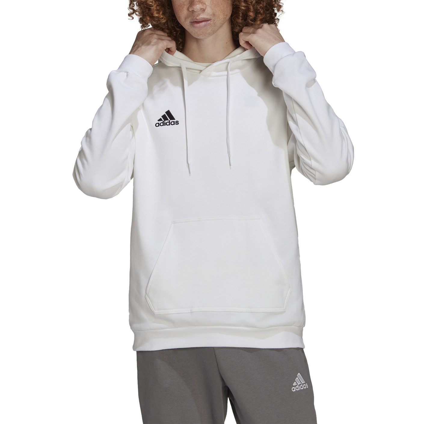 Adidas Entrada 22 Sweat Hoodie Wit Zwart