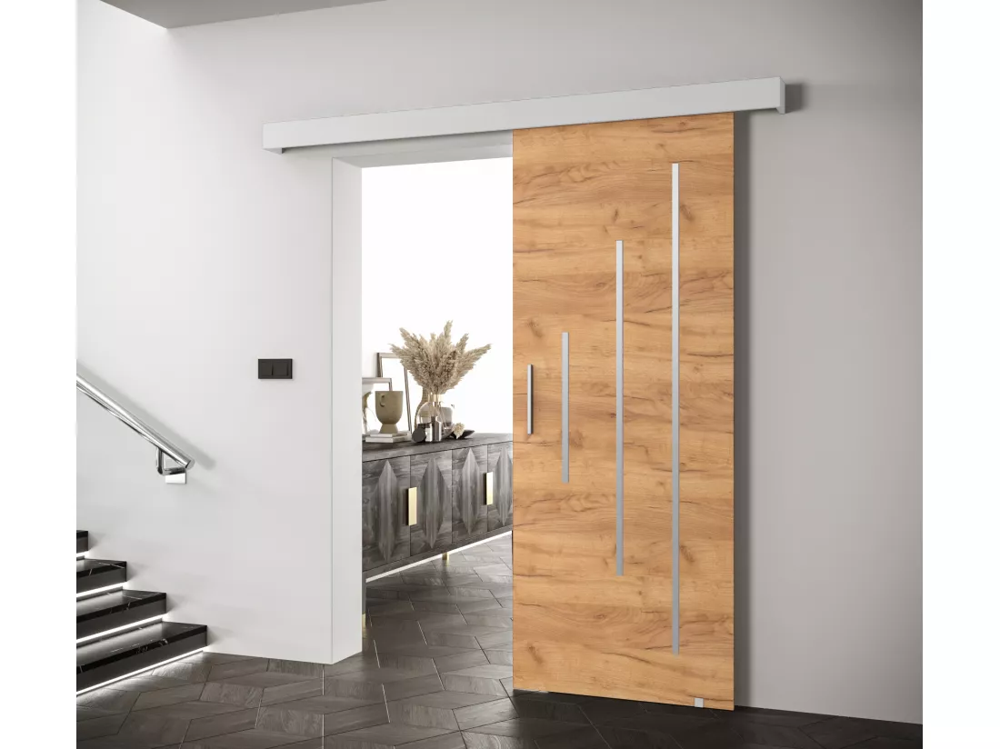 Portes coulissantes Salwador Y 80x204 cm (Chêne Craft / Blanc / Argent)