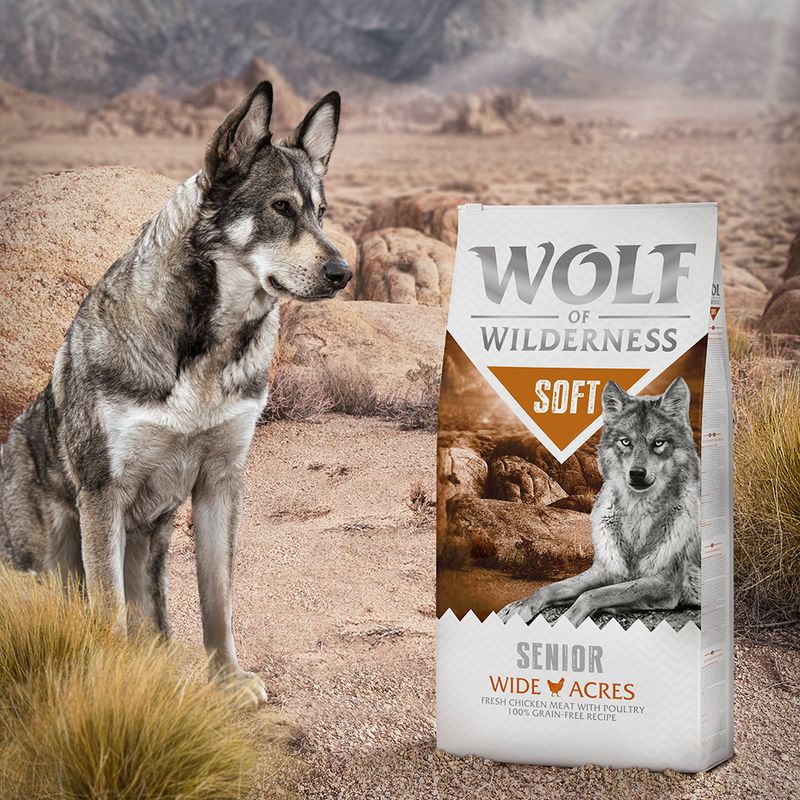 Wolf of Wilderness Senior Soft Wide Acres, poulet