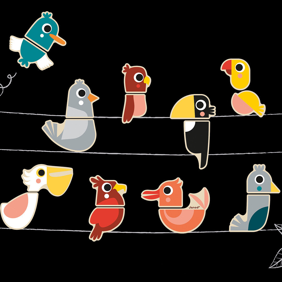 Janod magneten mix&match vogels - 24st