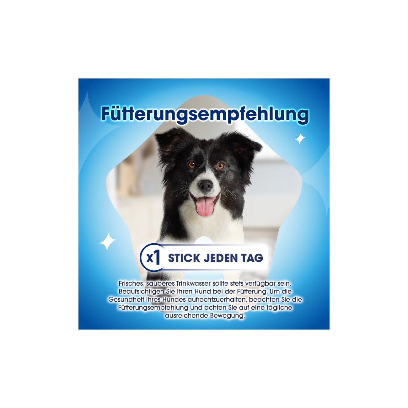 DentaLife Zahnpflege-Snacks Multipack Mini, 54x