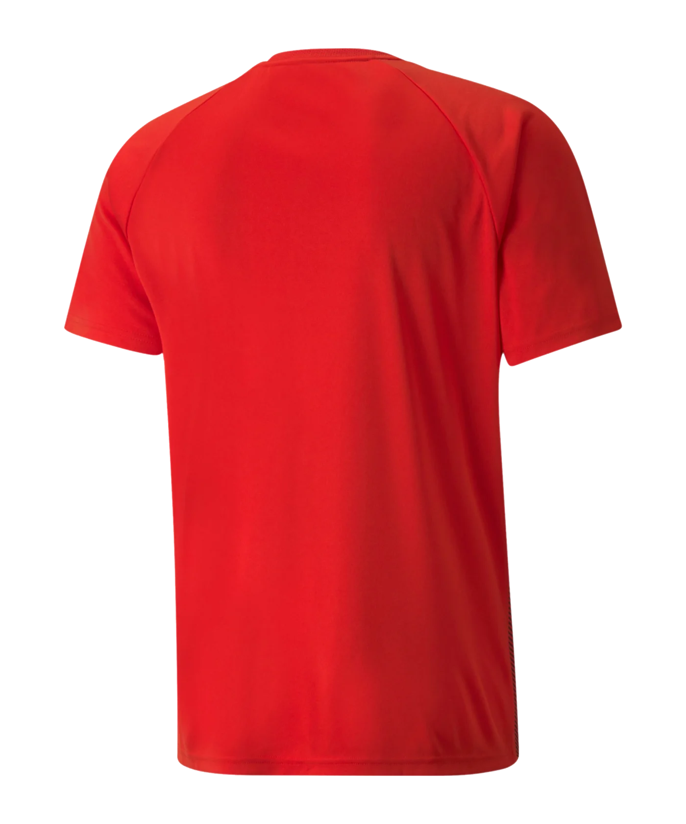 PUMA teamLIGA Striped Trikot Rot Schwarz F01