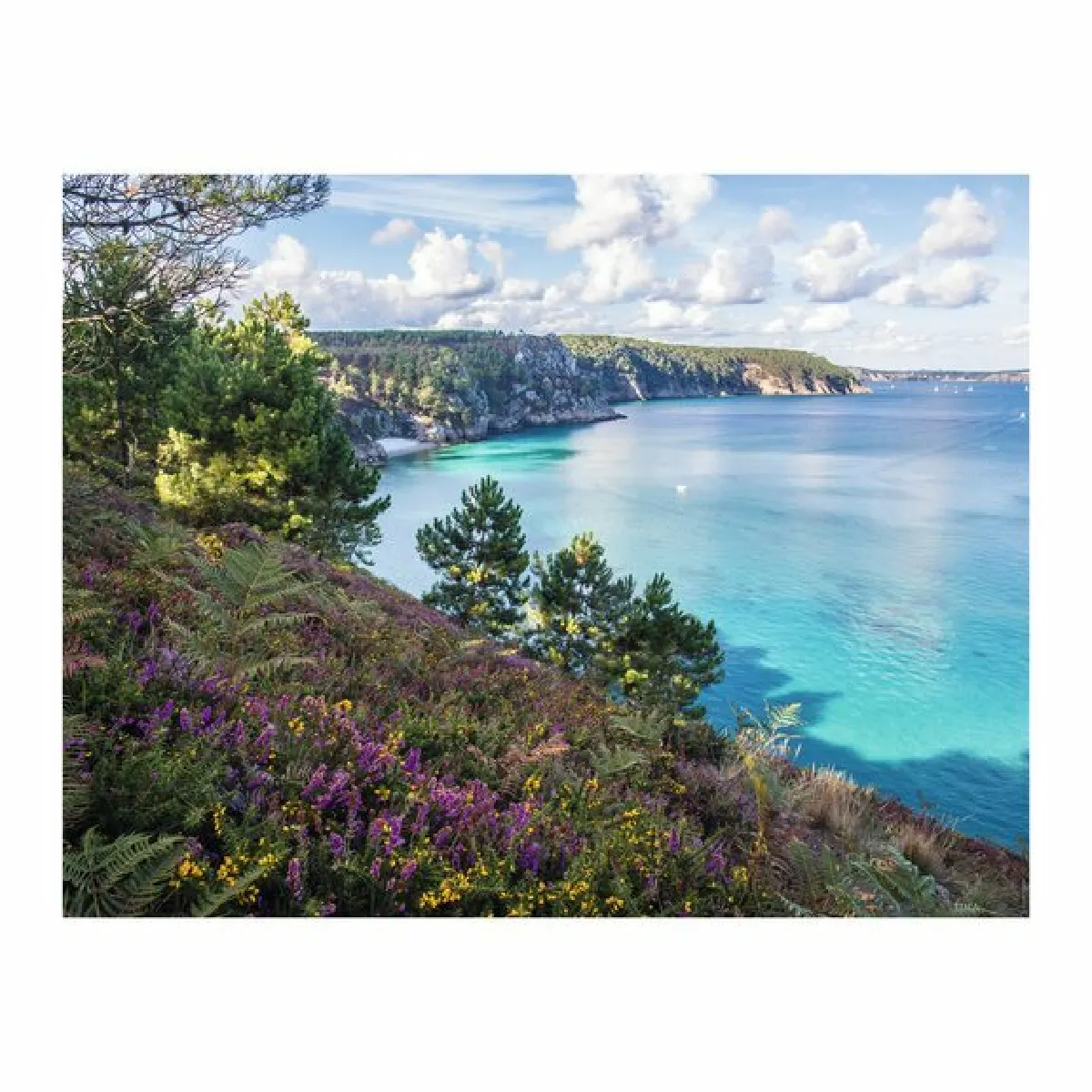 Nathan Puzzle - Plage de Crozon
