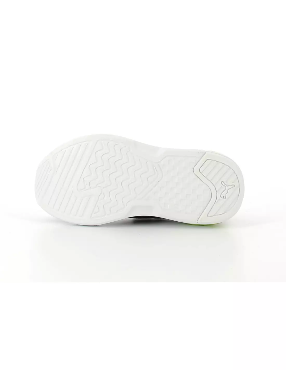 X RAY SPEED LITE - Baskets Marineblanc