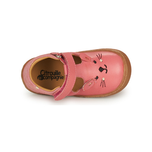 Citrouille et Compagnie - TIPELLE - Pink