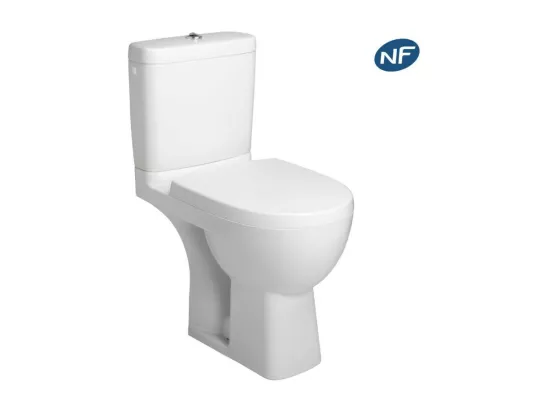 WC à poser JACOB DELAFON Odeon up + abattant standard
