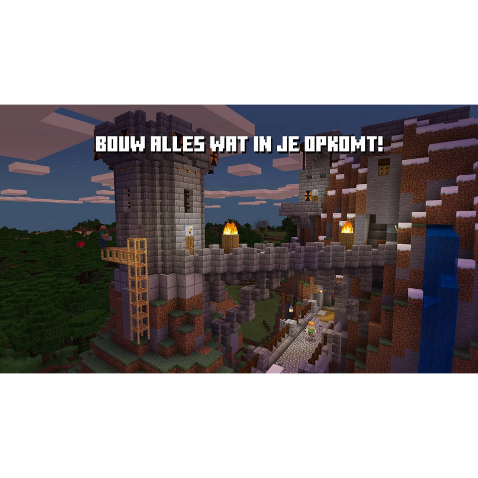 Minecraft Nintendo Switch