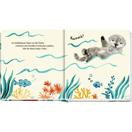 Coppenrath Verlag Meine erste Tierbaby-Geschichte: Kleiner Otter