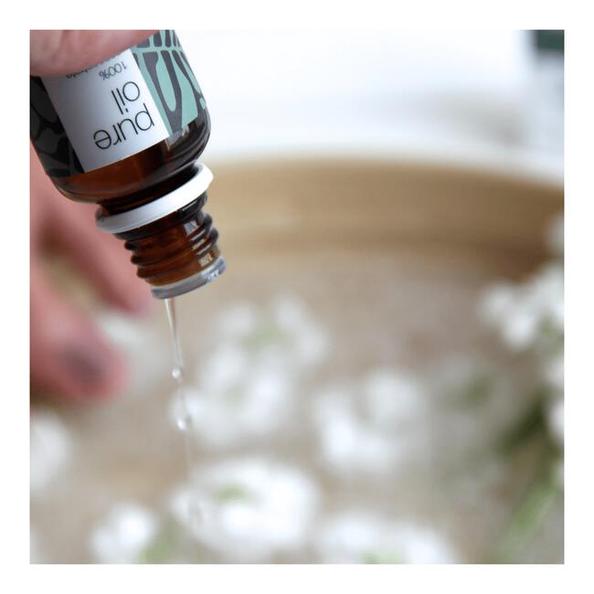 Australian Bodycare Tea Tree Oil Pure Oil 10 ML