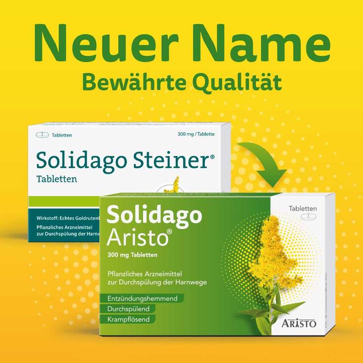 Solidago Aristo 300 mg Tabletten, 60 St