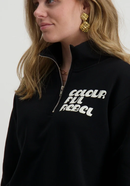 Colourful Rebel Sweater uni logo WS416355