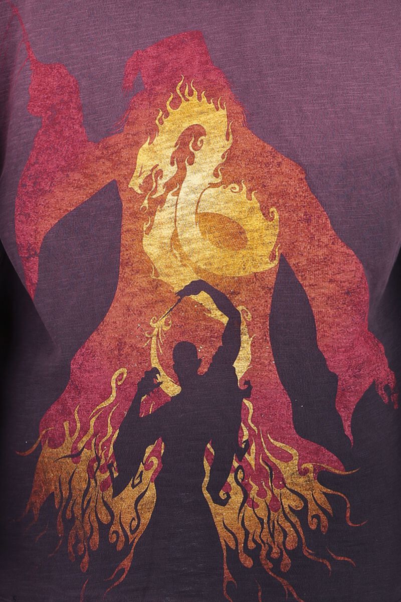 The Duel | Harry Potter Sweat-shirt à capuche