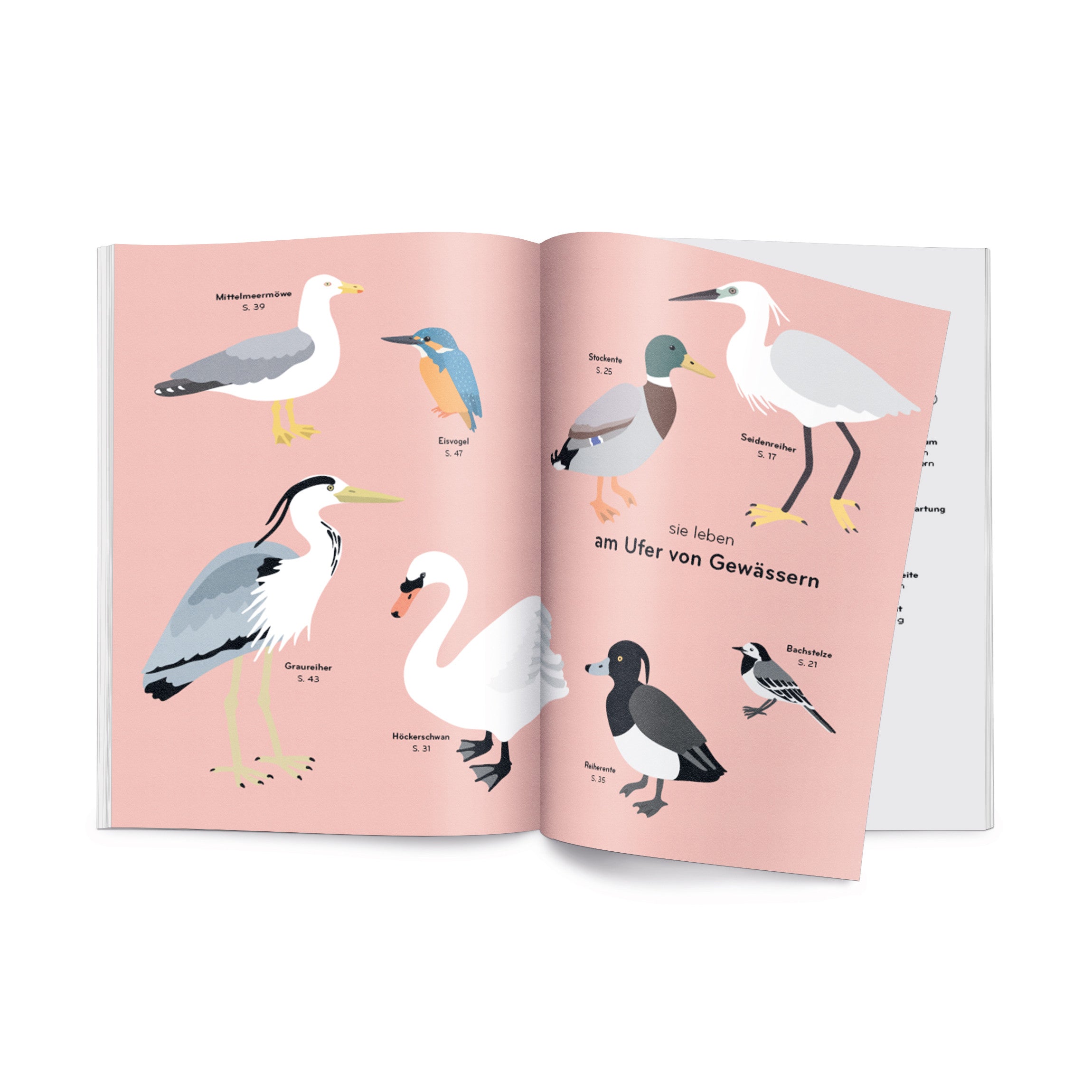 Buch Ornithorama DE