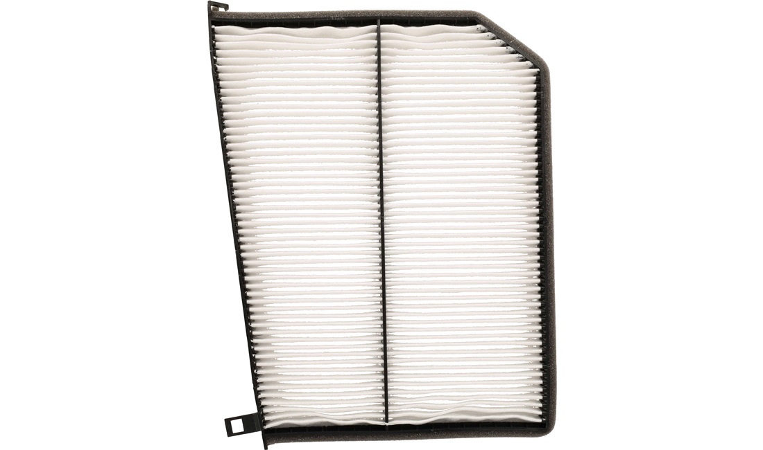 Pollenfilter, Pollenfilter