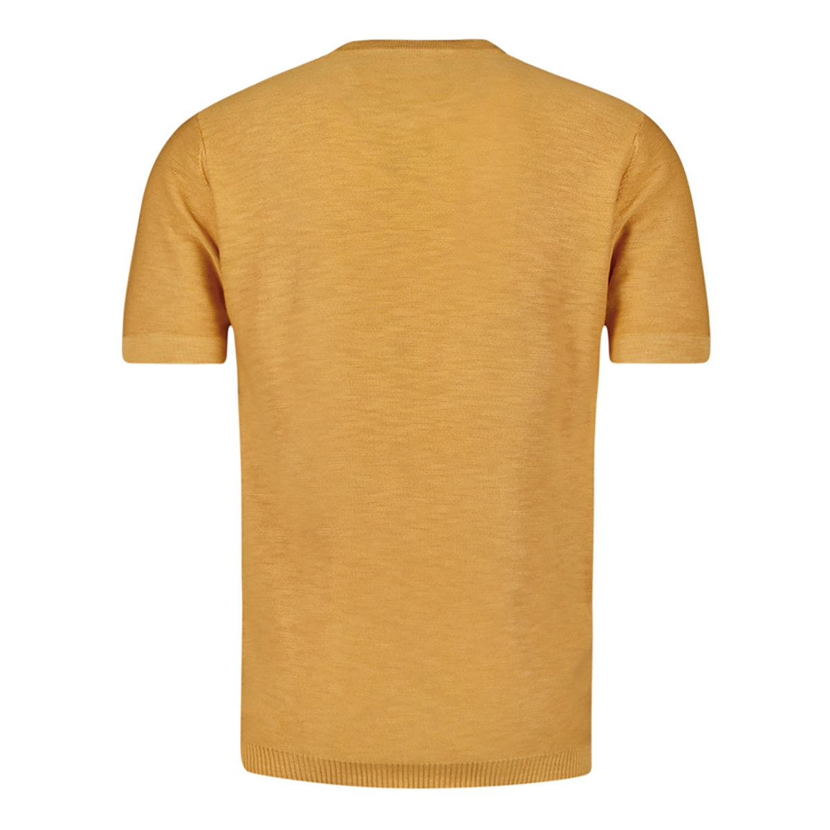 Heren Polo 2533229