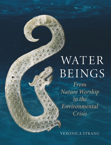 Water Beings: From Nature Worship to the Environmental Crisis (Hardback)
