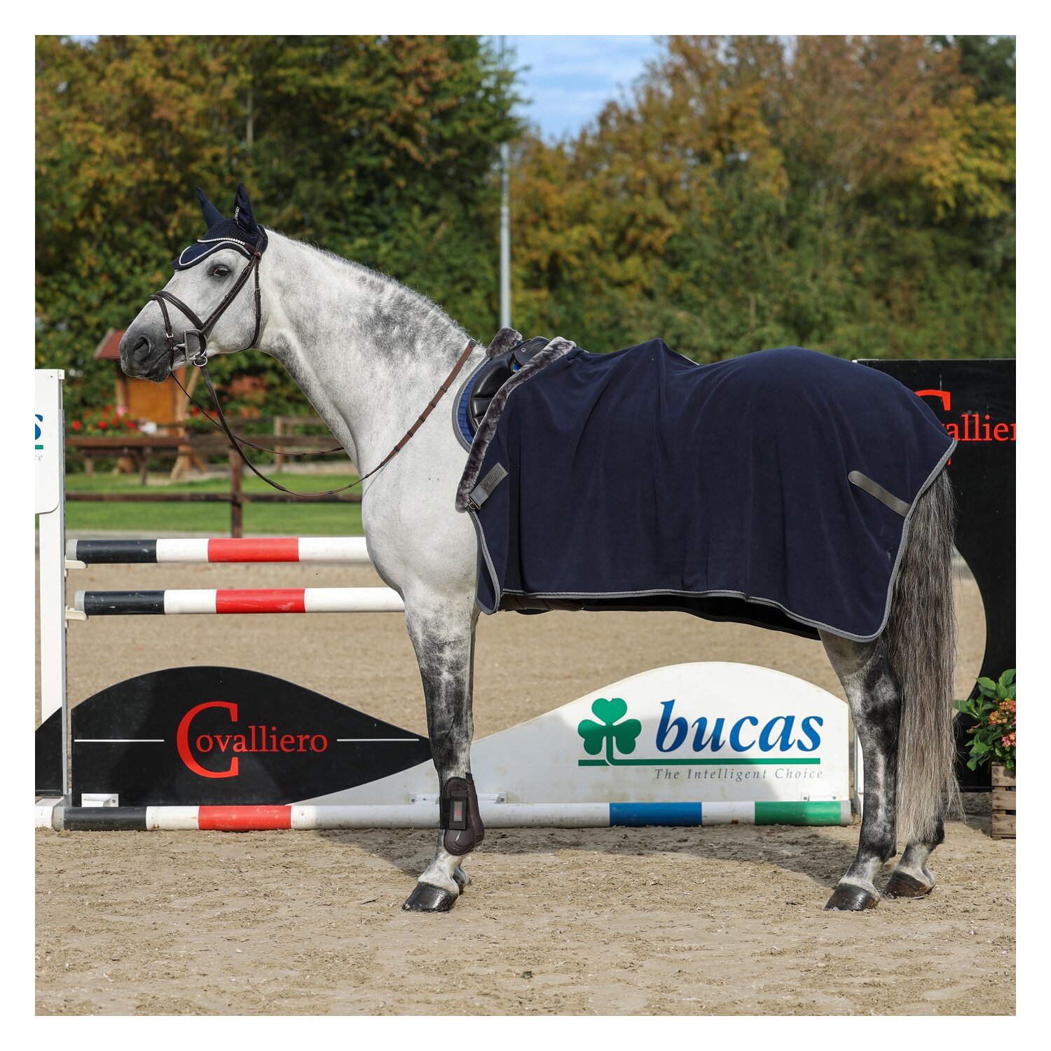 bucas Show-Line Collection Abschwitzdecke  - navy/grey