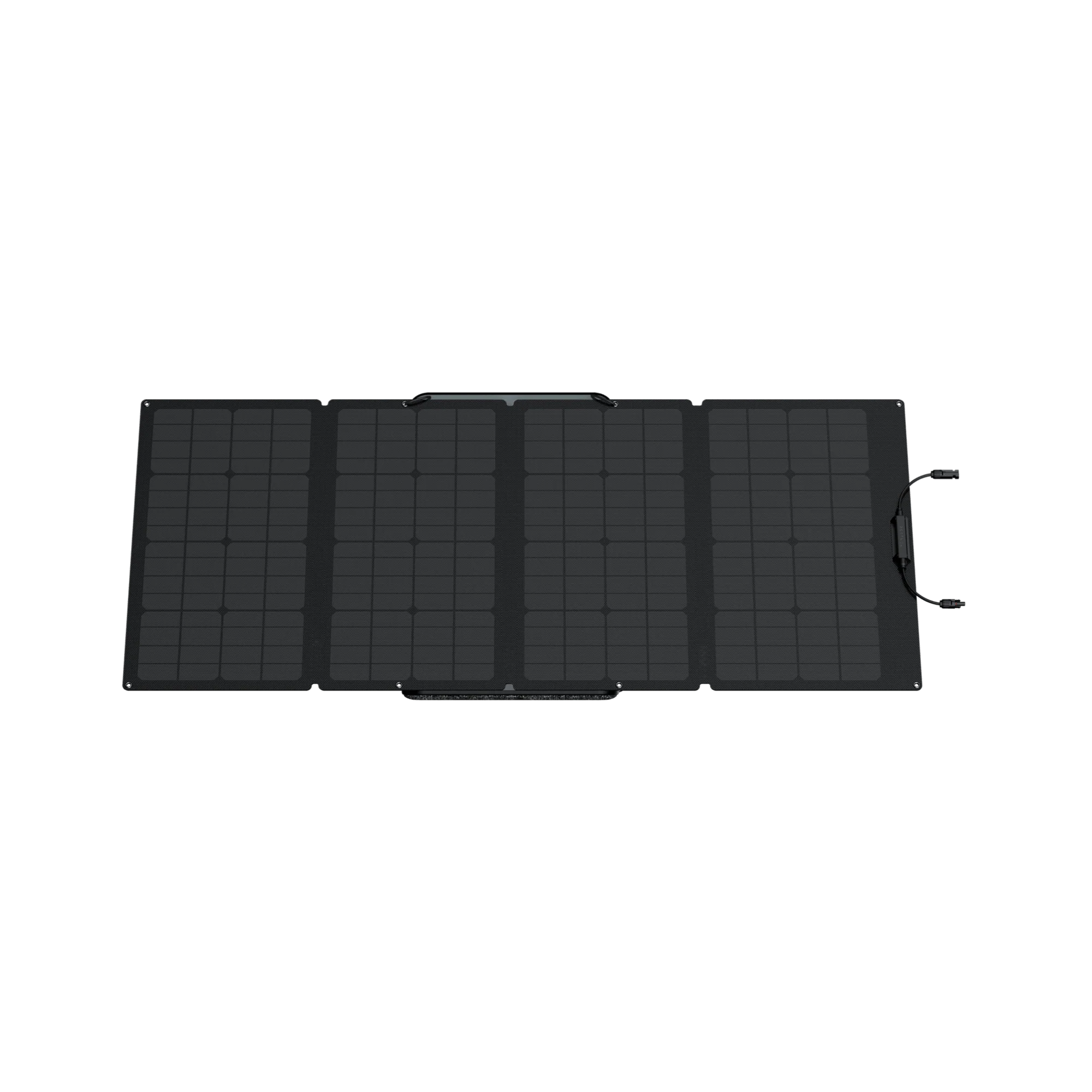 EcoFlow 160 W Tragbares Solarpanel