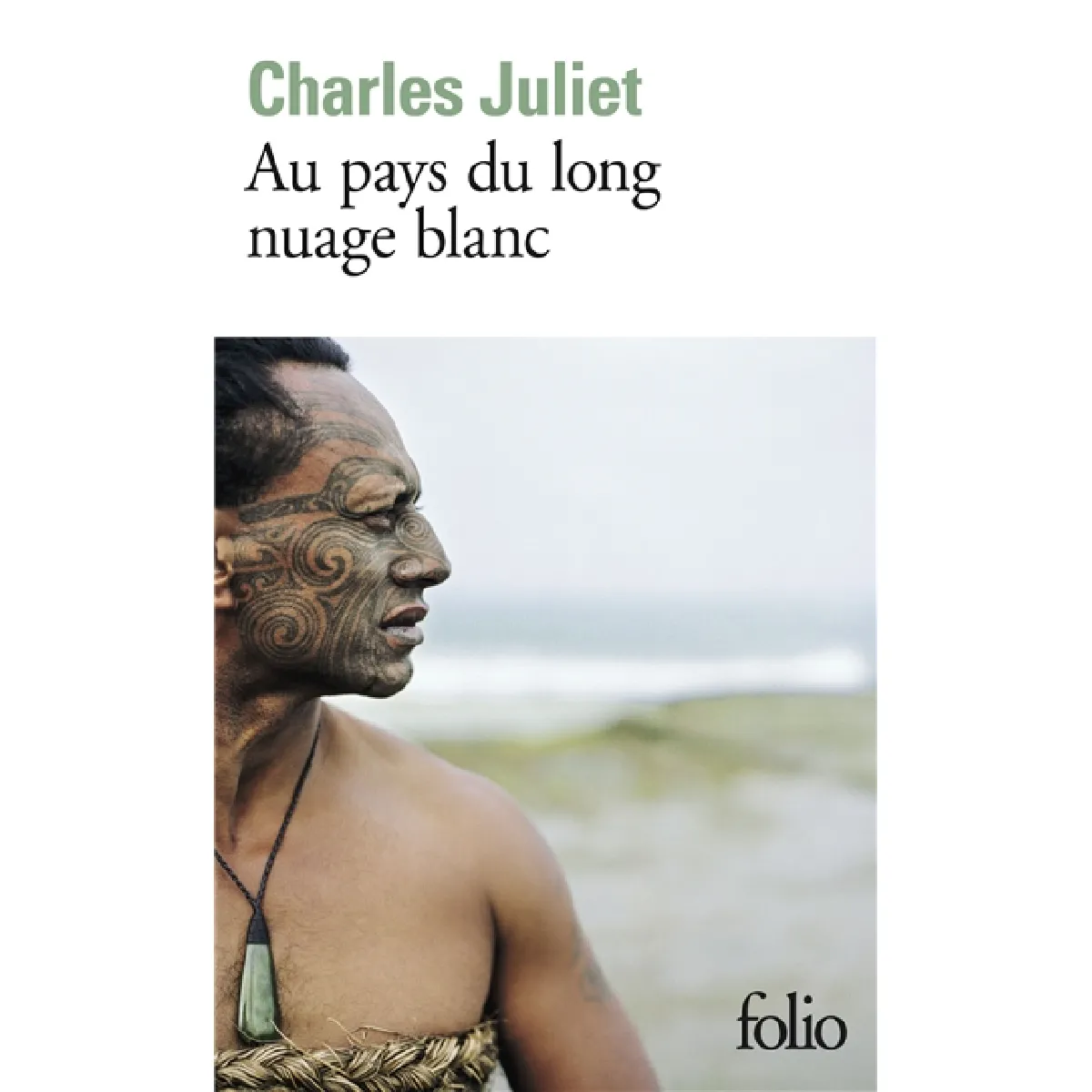 Au pays du long nuage blanc : journal, Wellington août 2003-janvier 2004 · Occasion