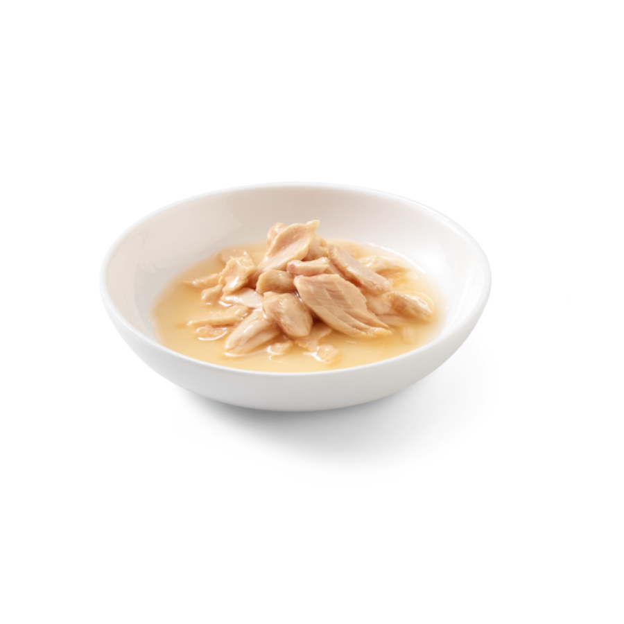 Lata de salmão Schesir Adult de 85g para gatos
