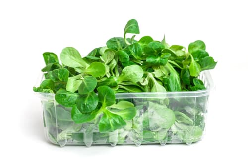 Watzkendorf's BIO Feldsalat, Schale