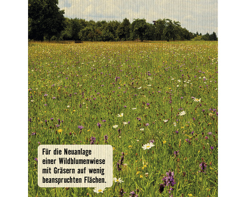 FloraSelf 'Wildflower Mix' wilde bloemenweide zaden 1 kg 50 m² DE/FR/RO