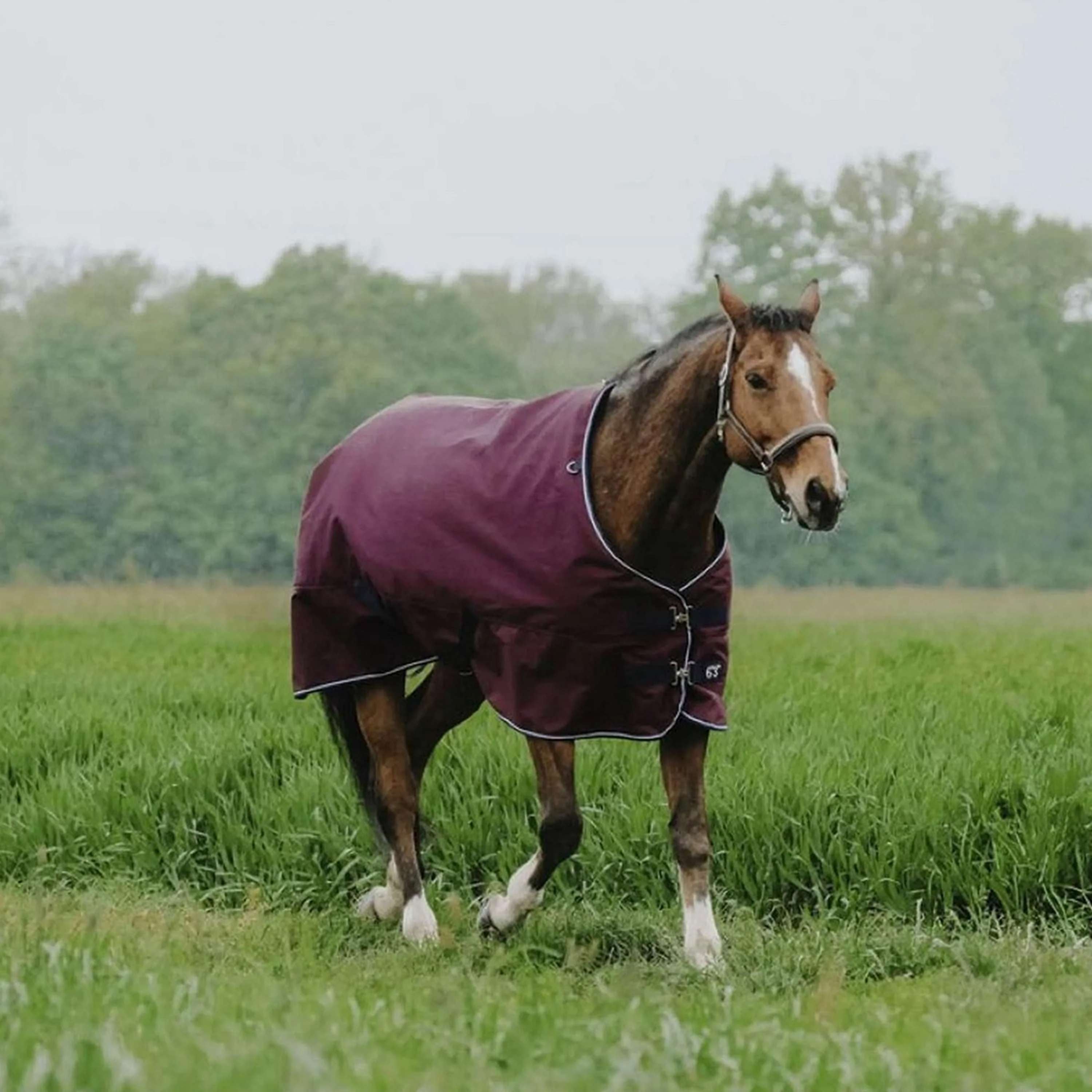 EQUITHÈME Outdoordeken Tyrex 1200D 150g Standard Burgundy