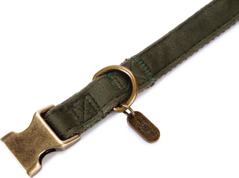 Designed by Lotte hondenhalsband Velura groen 35-50 x 2 cm